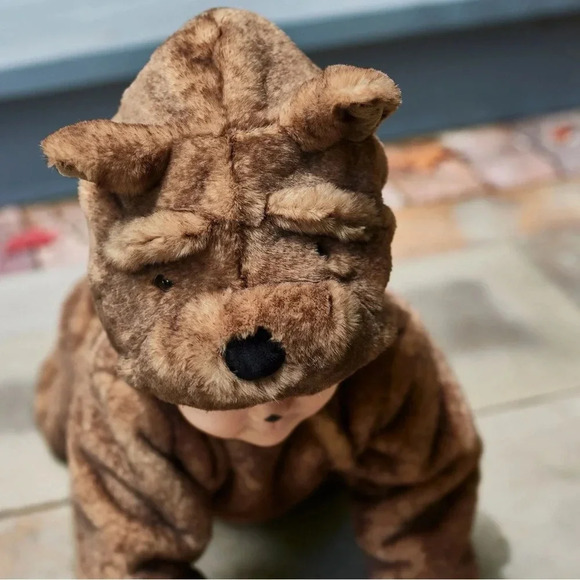 NWT Pottery Barn Kids Wizard of Oz Toto costume sz 0-6 months - Picture 4 of 14